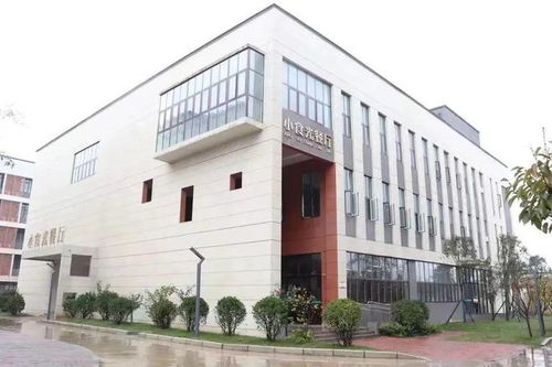 南陽(yáng)市二全初中 食堂食品安全工作紀(jì)實(shí)