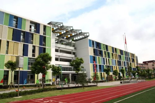 你應(yīng)該知道的國際學(xué)校升學(xué)大揭秘