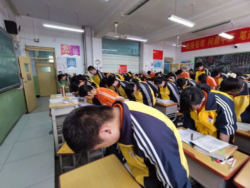 衡水市第十四中學學子悼念袁隆平院士 吳孟超院士