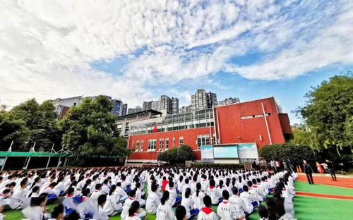 青羊校長說丨成都市青羊?qū)嶒炛袑W校長陳梅 以人為本,共育未來之才