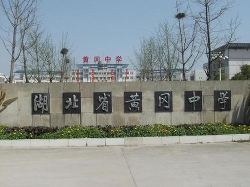 西咸新區涇河新城 辦好讓人民滿意的教育事業