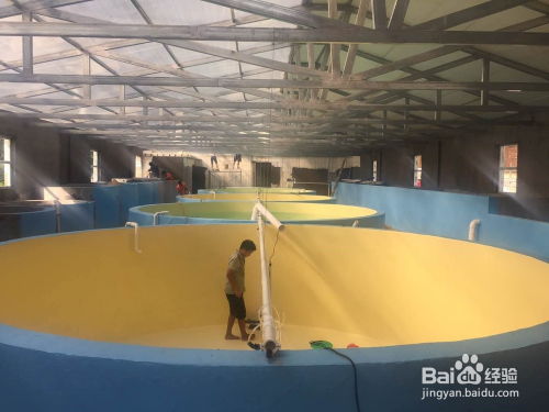 工廠化水產養殖池漆的施工工藝