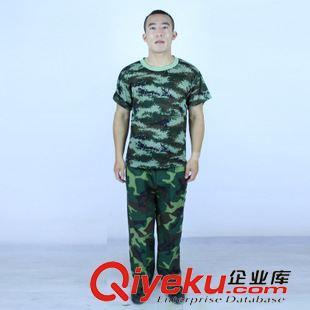 軍訓迷彩服套裝 廠家直銷 大中學叢林海洋夏半袖速干軍訓服迷彩服短袖套裝圖片|軍訓迷彩服套裝 廠家直銷 大中學叢林海洋夏半袖速干軍訓服迷彩服短袖套裝產品圖片由石家莊乾坤制衣公司生產提供-