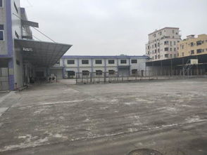 廣州番禺現成餅干食品廠 證件齊全7000平方招租