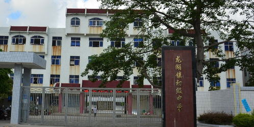 龍湖鎮初級中學