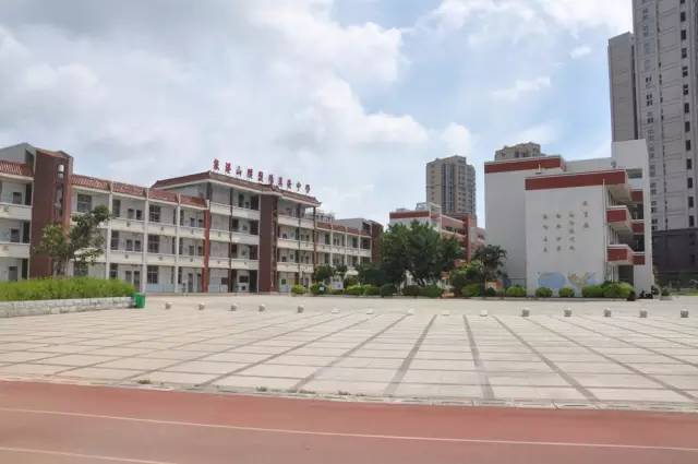 總第617期【新高一錄取名單】泉港二中2019級高一年新生錄取名單